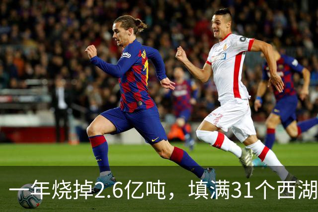 一年烧掉2.6亿吨，填满31个西湖！中国的垃圾，不够烧了？