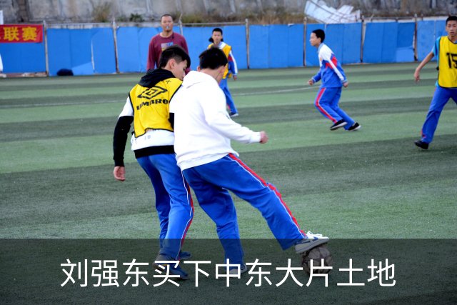 刘强东买下中东大片土地